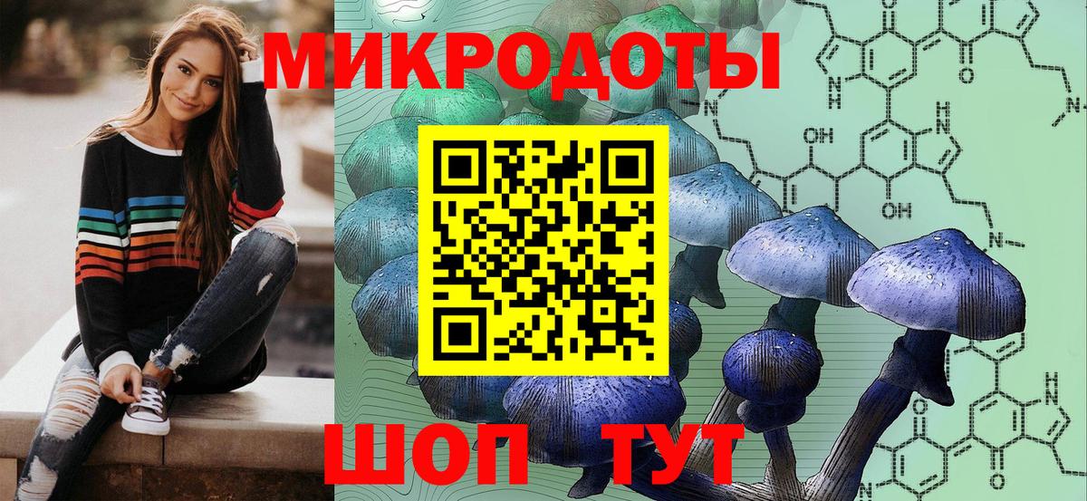 Чехов  Галлюциногенные грибы MAGIC MUSHROOMS  Псилоцибиновые грибы мухоморы  Вход с VPN 